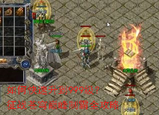 ��ο�������999������ս����۷��ư�ȫ����