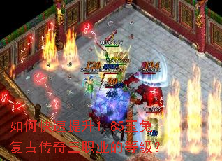 ��ο�������1.85���ø��Ŵ�����ְҵ�ĵȼ���