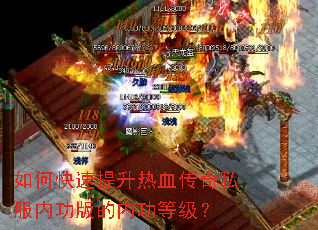 ��ο���������Ѫ����˽���ڹ�����ڹ��ȼ���