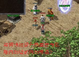 ��ο���������Ѫ����˽���ڹ�����ڹ��ȼ���