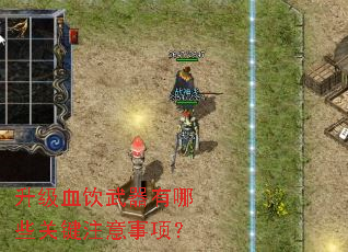 ����Ѫ����������Щ�ؼ�ע�����