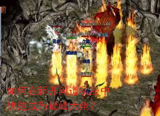 如何在新开问道私服中快速成为巅峰大佬? 如何在新开问道私服中快速成为巅峰大佬?