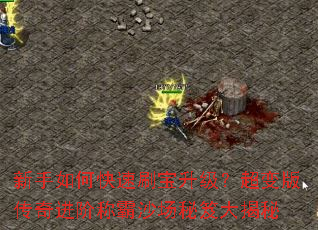 ������ο���ˢ������������洫����׳ư�ɳ�����Ŵ����