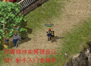 ����������ζ�����������������ȫ����