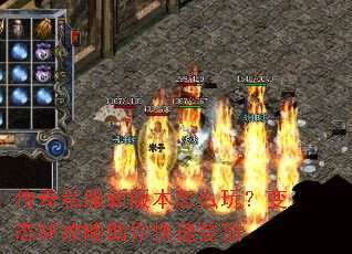 ����˽���°汾��ô�棿��̬SF����������ٵǶ�