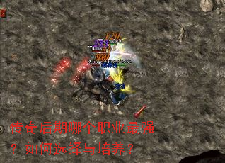 ��������ĸ�ְҵ��ǿ�����ѡ����������