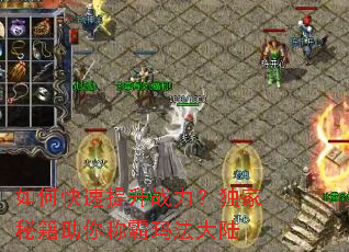 ��ο�������ս���������ؼ�����ư��귨��½