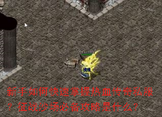 ������ο���������Ѫ����˽������սɳ���ر�������ʲô��