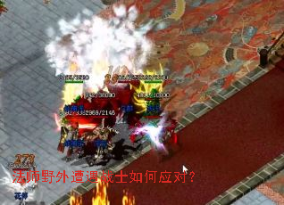 ��ʦҰ������սʿ���Ӧ�ԣ�