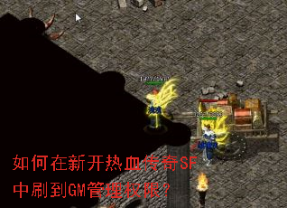 ������¿���Ѫ����SF��ˢ��GM����Ȩ�ޣ�