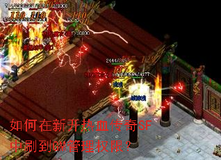 ������¿���Ѫ����SF��ˢ��GM����Ȩ�ޣ�