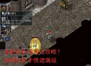 ��ְҵ�·��弶���ԣ���δ����ֿ�������