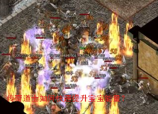 �����ʿ��ο�����������������