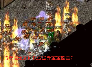 �����ʿ��ο�����������������