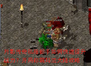 ��Ӱ����˽��������ο�������ս�������ֳư��귨��½����