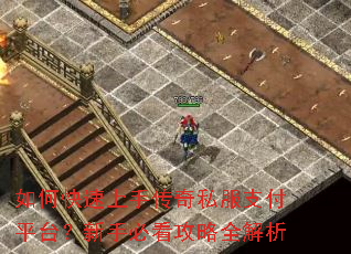 ��ο������ִ���˽��֧��ƽ̨�����ֱؿ�����ȫ����