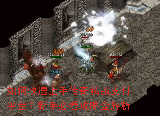 ��ο������ִ���˽��֧��ƽ̨�����ֱؿ�����ȫ����