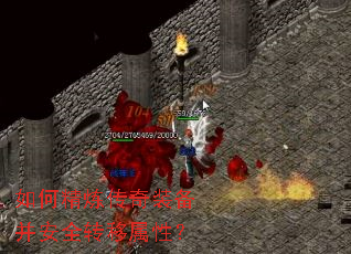 ��ξ�������װ������ȫת�����ԣ�