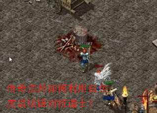 ���淨ʦ������ð�ɫ���������Կ���ʿ��