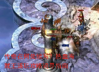 �����ںδ���д����Ѫ���������湥��׷Ѱָ��
