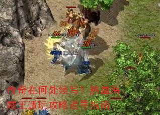 �����ںδ���д����Ѫ���������湥��׷Ѱָ��