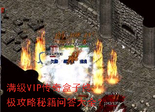 ����VIP��������ռ������ؼ��ʴ��ȫ��