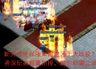 �¿�����˽�������ͨʮ��ս�ۣ���������������ڣ�����ưԽ���