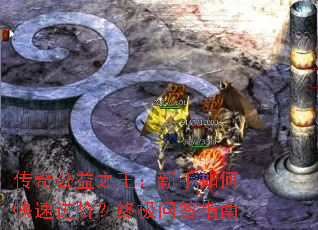 ���湫��֮����������ο��ٽ��ף��ռ��ʴ�ָ��