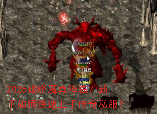 2026����ħ���٣�������ο������ִ���˽����