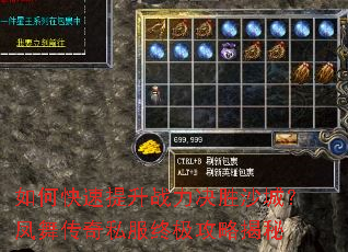 如何快速提升战力决胜沙城?凤舞传奇私服终极攻略揭秘 如何快速提升战力决胜沙城?凤舞传奇私服终极攻略揭秘