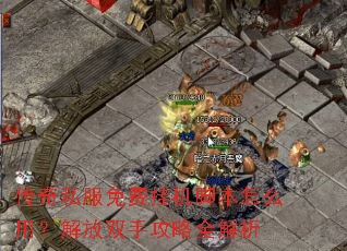 传奇私服免费挂机脚本怎么用?解放双手攻略全解析 传奇私服免费挂机脚本怎么用?解放双手攻略全解析