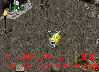 传奇私服SF版如何从新手小白快速成长为沙巴克霸主?终极攻略全解析 传奇私服SF版如何从新手小白快速成长为沙巴克霸主?终极攻略全解析