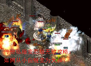 传奇私服变态版无敌攻略:如何从小白蜕变为大神? 传奇私服变态版无敌攻略:如何从小白蜕变为大神?