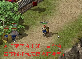 网通变态合击SF,最全合击攻略和玩法技巧有哪些? 网通变态合击SF,最全合击攻略和玩法技巧有哪些?