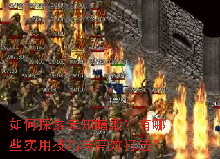 如何探索未知暗殿?有哪些实用技巧与高效打法? 如何探索未知暗殿?有哪些实用技巧与高效打法?