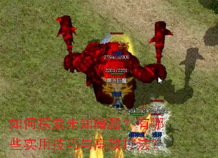 如何探索未知暗殿?有哪些实用技巧与高效打法? 如何探索未知暗殿?有哪些实用技巧与高效打法?