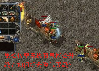 原始传奇无极真气能否升级?如何提升真气等级? 原始传奇无极真气能否升级?如何提升真气等级?