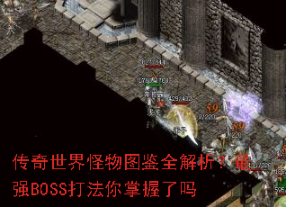 传奇世界怪物图鉴全解析?最强BOSS打法你掌握了吗 传奇世界怪物图鉴全解析?最强BOSS打法你掌握了吗