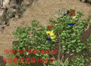 ������Ϸ���ͨ��RMB���׿�������ս����