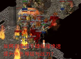 如何在傲视千雄私服快速提升角色等级与战力? 如何在傲视千雄私服快速提升角色等级与战力?