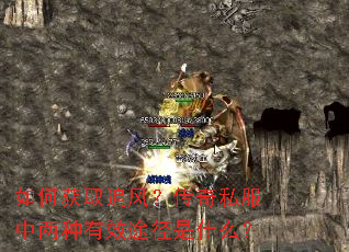 如何获取追风?传奇私服中两种有效途径是什么? 如何获取追风?传奇私服中两种有效途径是什么?