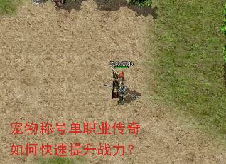 宠物称号单职业传奇如何快速提升战力? 宠物称号单职业传奇如何快速提升战力?