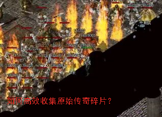 如何高效收集原始传奇碎片? 如何高效收集原始传奇碎片?