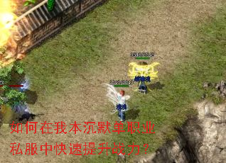 ������ұ���Ĭ��ְҵ˽���п�������ս����