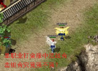 单职业打金服中法战合击组合究竟强不强? 单职业打金服中法战合击组合究竟强不强?