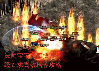 法师宝宝如何快速升级?求高效培养攻略 法师宝宝如何快速升级?求高效培养攻略