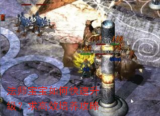 法师宝宝如何快速升级?求高效培养攻略 法师宝宝如何快速升级?求高效培养攻略