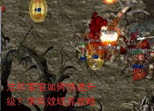 法师宝宝如何快速升级?求高效培养攻略 法师宝宝如何快速升级?求高效培养攻略