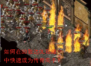 �����SD�Ҵ�OL˽���п��ٳ�Ϊ������֣�