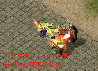 传奇官服新手如何快速升级与获取顶级装备? 传奇官服新手如何快速升级与获取顶级装备?